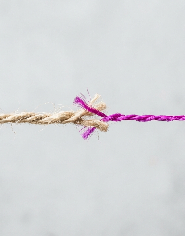 Crecer sin romperse el riesgo de los nuevos clientes blog 600x768